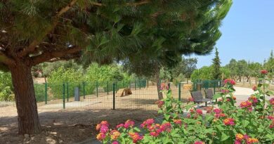 Parque Canino Vale Fetal