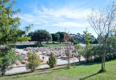 Alargamento de horário de funcionamento ao público dos cemitérios Alargamento de horário de funcionamento ao público dos cemitérios