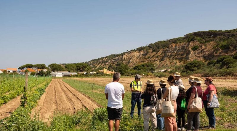 Costa da Caparica | Agroparque celebra Dia Mundial da Alimentação com actividades comunitárias
