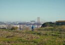 Filme “Ali, Aqui” traz a vivência dos bairros do Monte à Academia Almadense