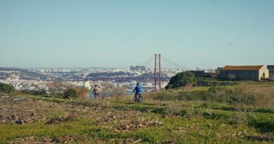 Filme “Ali, Aqui” traz a vivência dos bairros do Monte à Academia Almadense