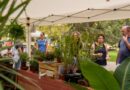 MUDA transforma-se em eco-mercado no Parque da Paz