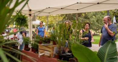 MUDA transforma-se em eco-mercado no Parque da Paz MUDA transforma-se em eco-mercado no Parque da Paz