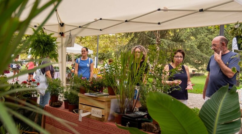 MUDA transforma-se em eco-mercado no Parque da Paz