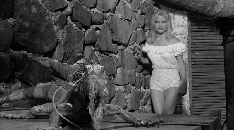 Costa da Caparica | “A noite do iguana” inaugura ciclo de cinema dedicado a Tennessee Williams