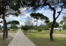 Costa da Caparica | Parque Urbano encerra de 27 de Julho a 26 de Agosto