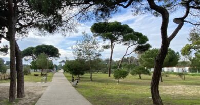 Costa da Caparica | Parque Urbano encerra de 27 de Julho a 26 de Agosto